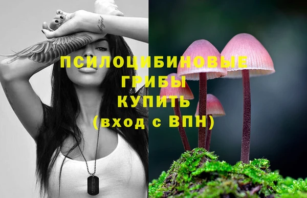 PSILOCYBIN Верхнеуральск